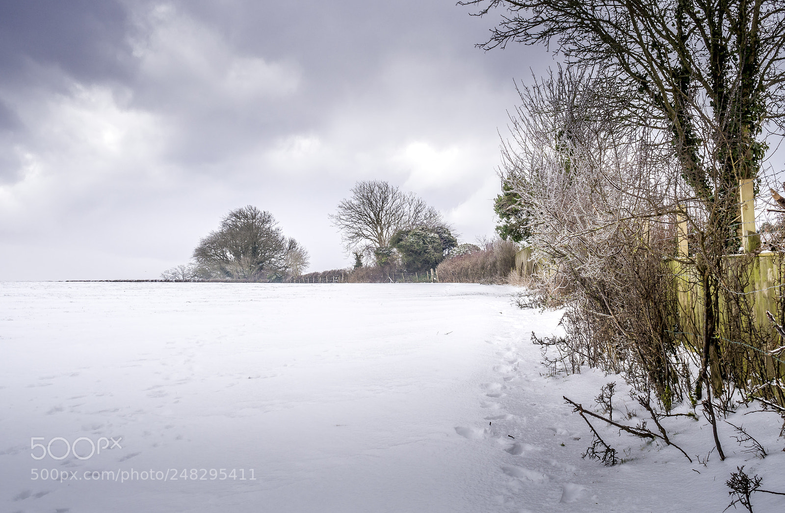 Olympus OM-D E-M10 sample photo. Snowy field photography