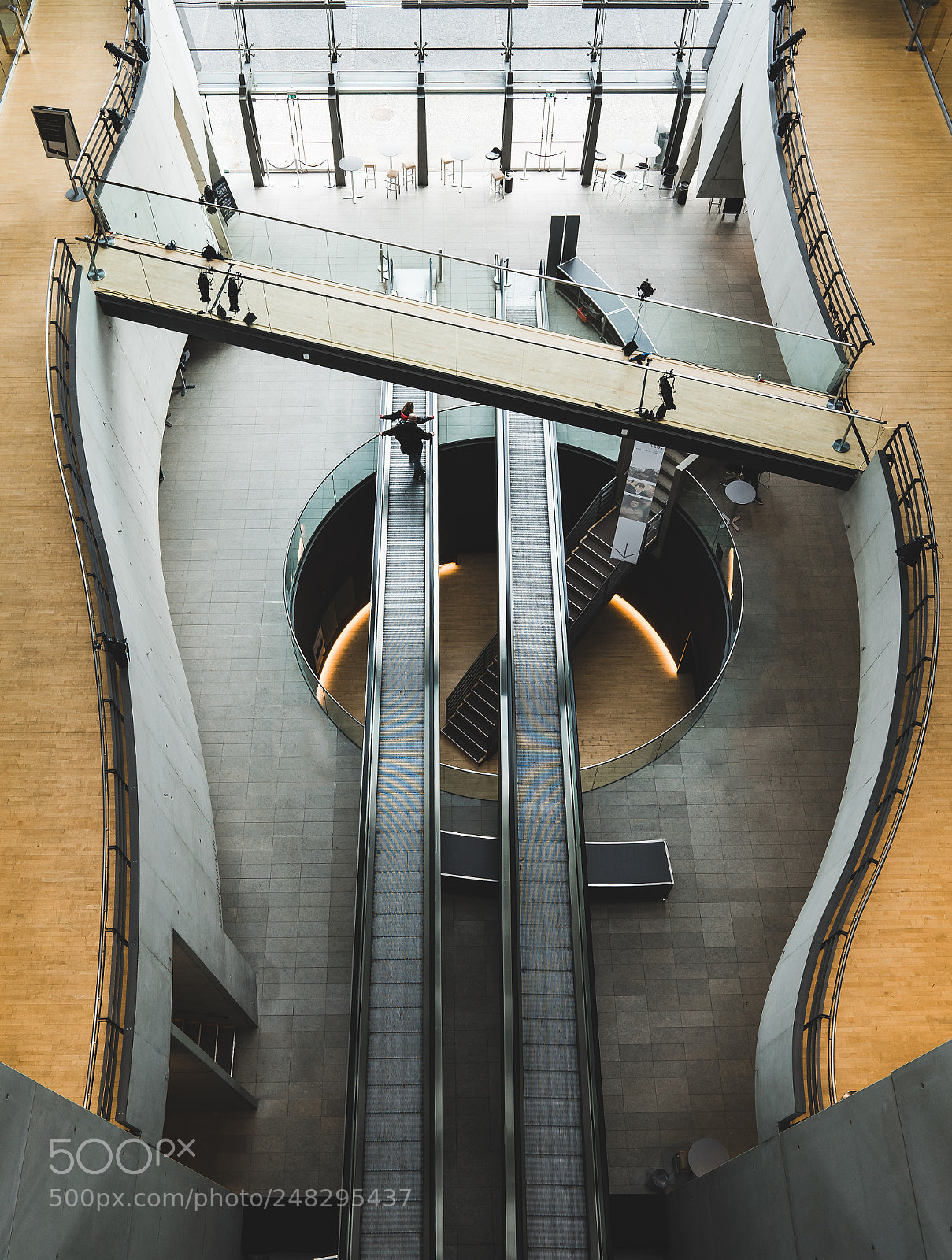 Sony a7 II sample photo. Library photography
