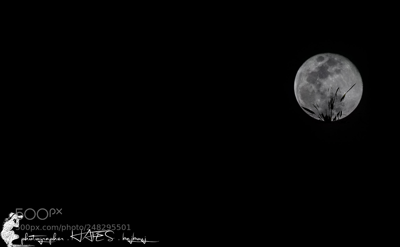 Canon EOS 77D (EOS 9000D / EOS 770D) sample photo. Untitled photography