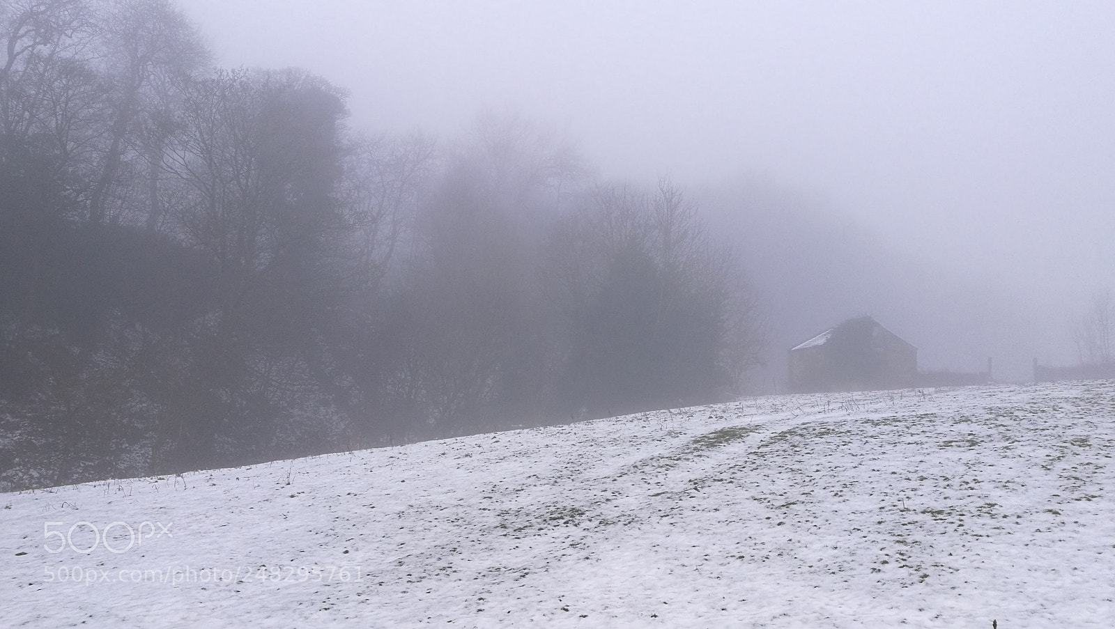 HUAWEI Honor 8 sample photo. Winter fog photography