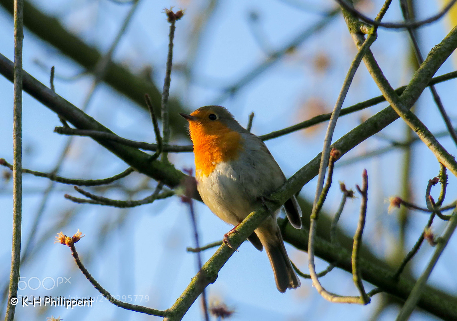 Canon PowerShot G3 X sample photo. Vellmar germany , ahnepark photography