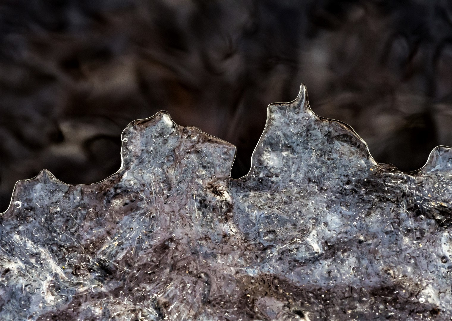 Olympus PEN E-PM2 sample photo. Ice photography