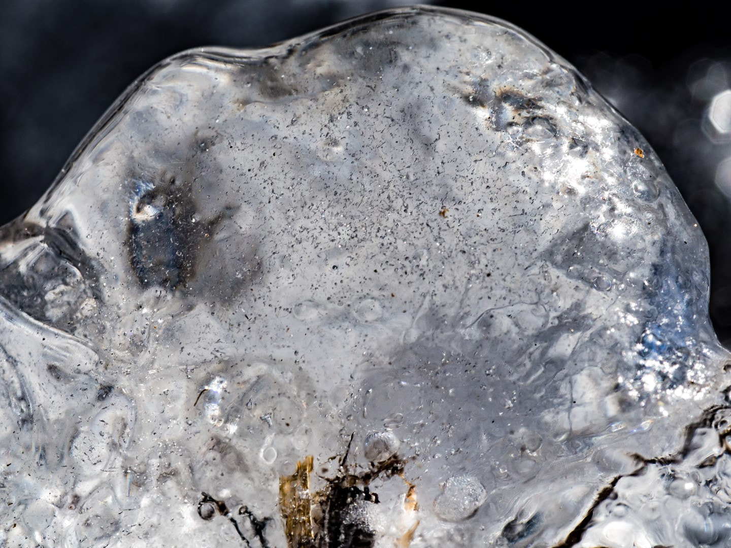 Olympus PEN E-PM2 sample photo. Ice photography