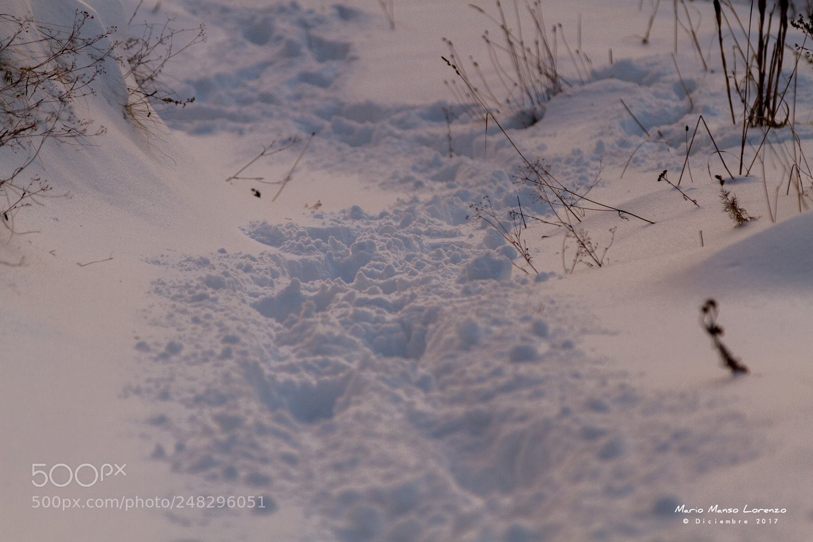 Canon EOS 7D sample photo. Snow steep photography