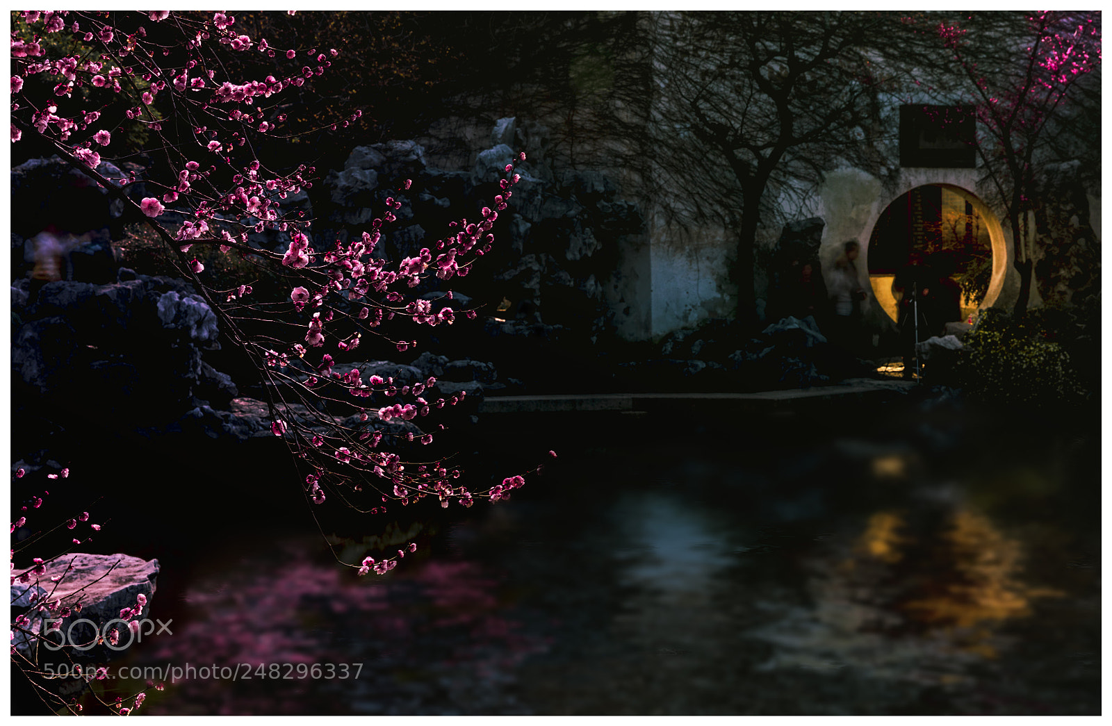 Canon EOS 5DS R sample photo. Untitled photography
