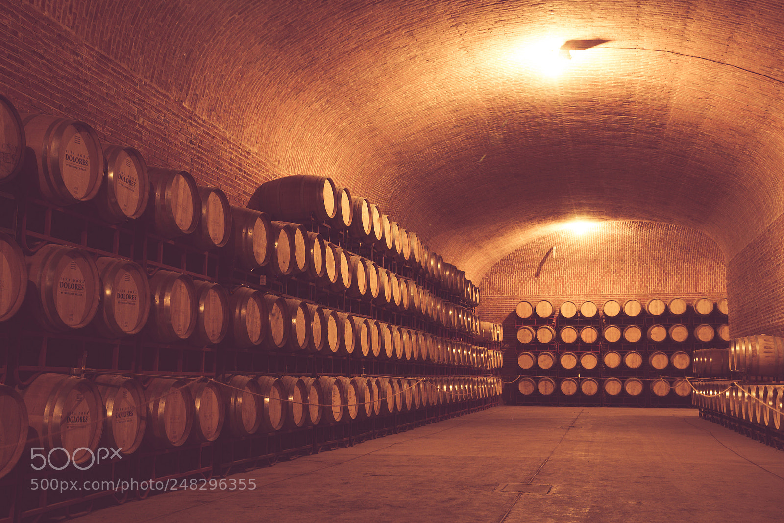 Canon EOS 1200D (EOS Rebel T5 / EOS Kiss X70 / EOS Hi) sample photo. Storaged wine barrels photograph photography