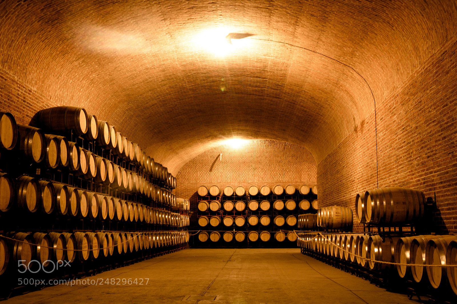 Canon EOS 1200D (EOS Rebel T5 / EOS Kiss X70 / EOS Hi) sample photo. Storaged wine barrels photograph photography