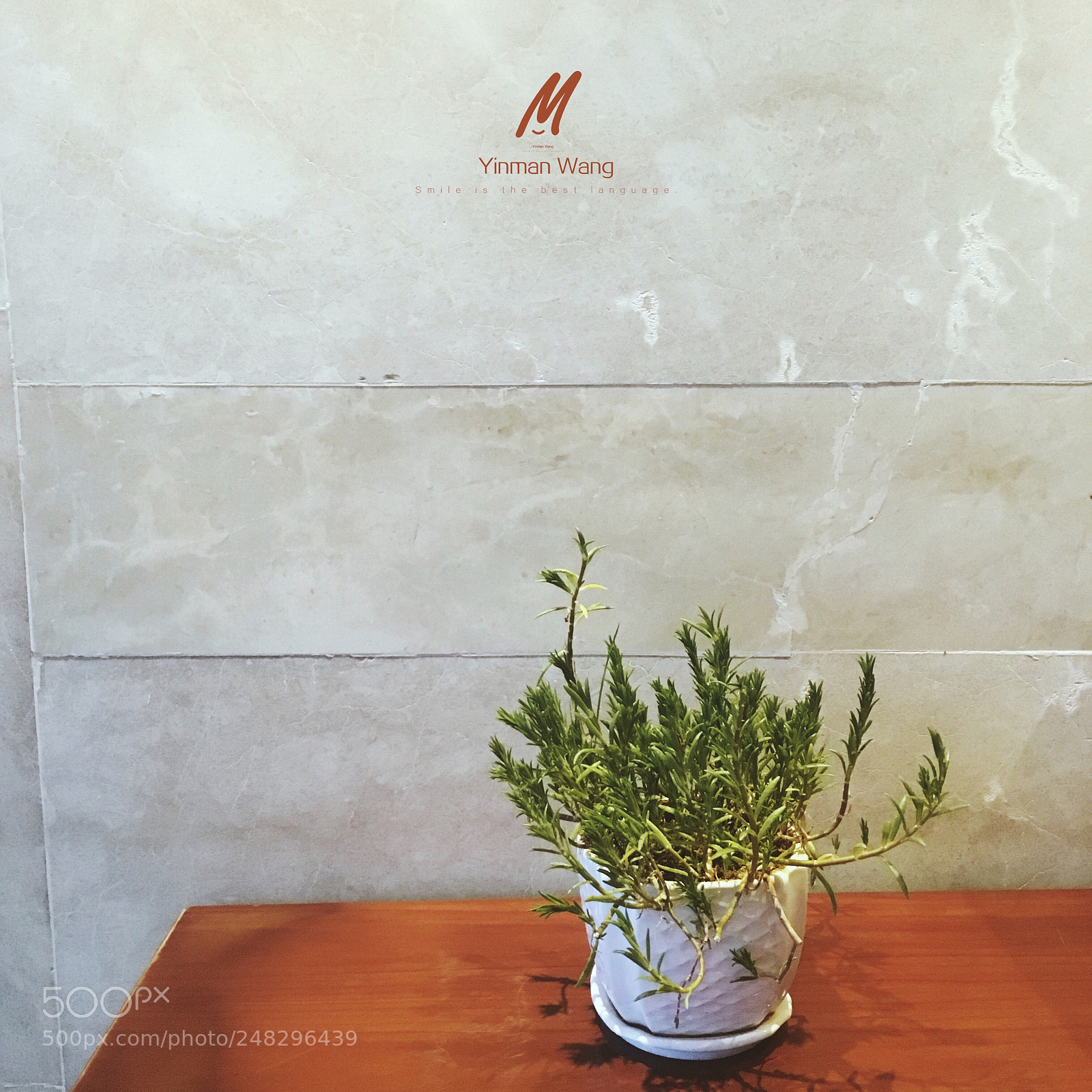Apple iPhone 6s Plus sample photo. Botany photography