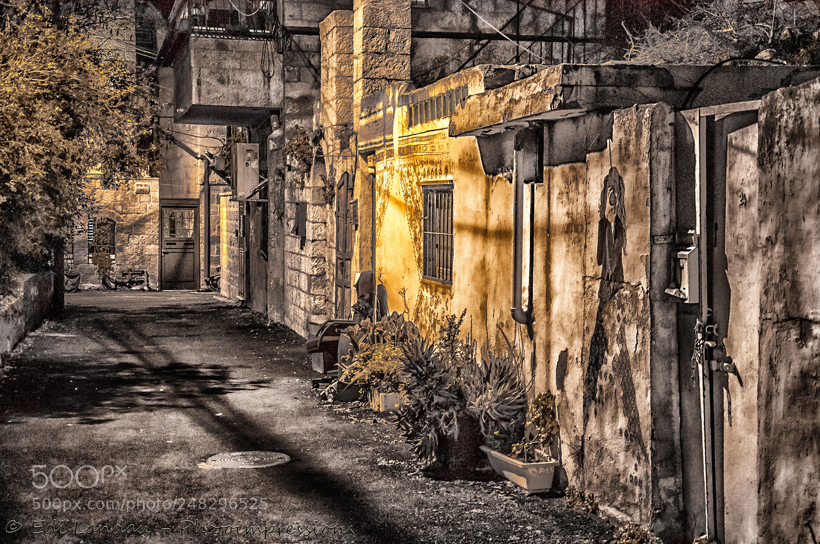 Nikon D5000 sample photo. Mystic alley photography