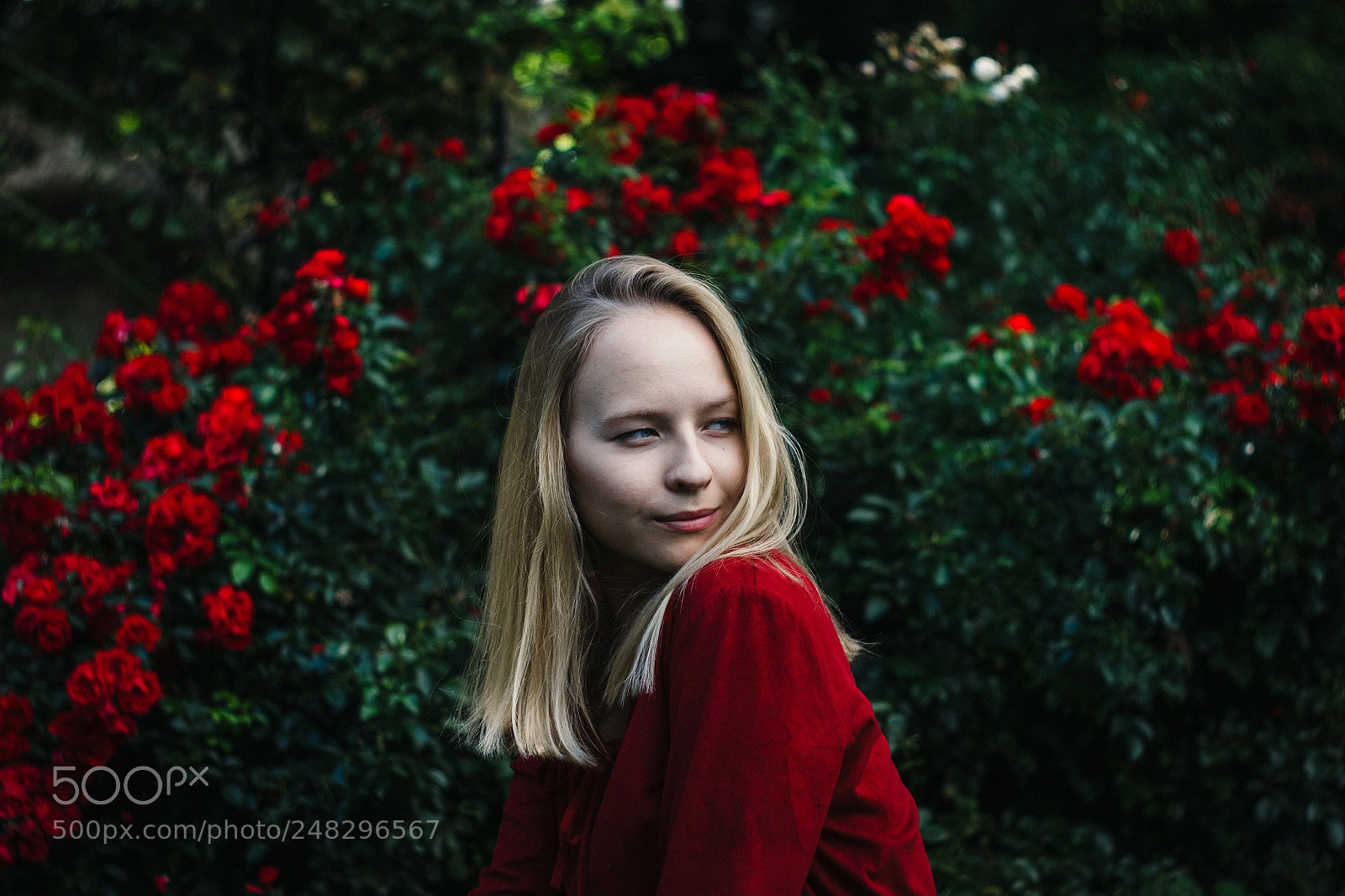 Canon EOS 60D sample photo. Rouge sang photography