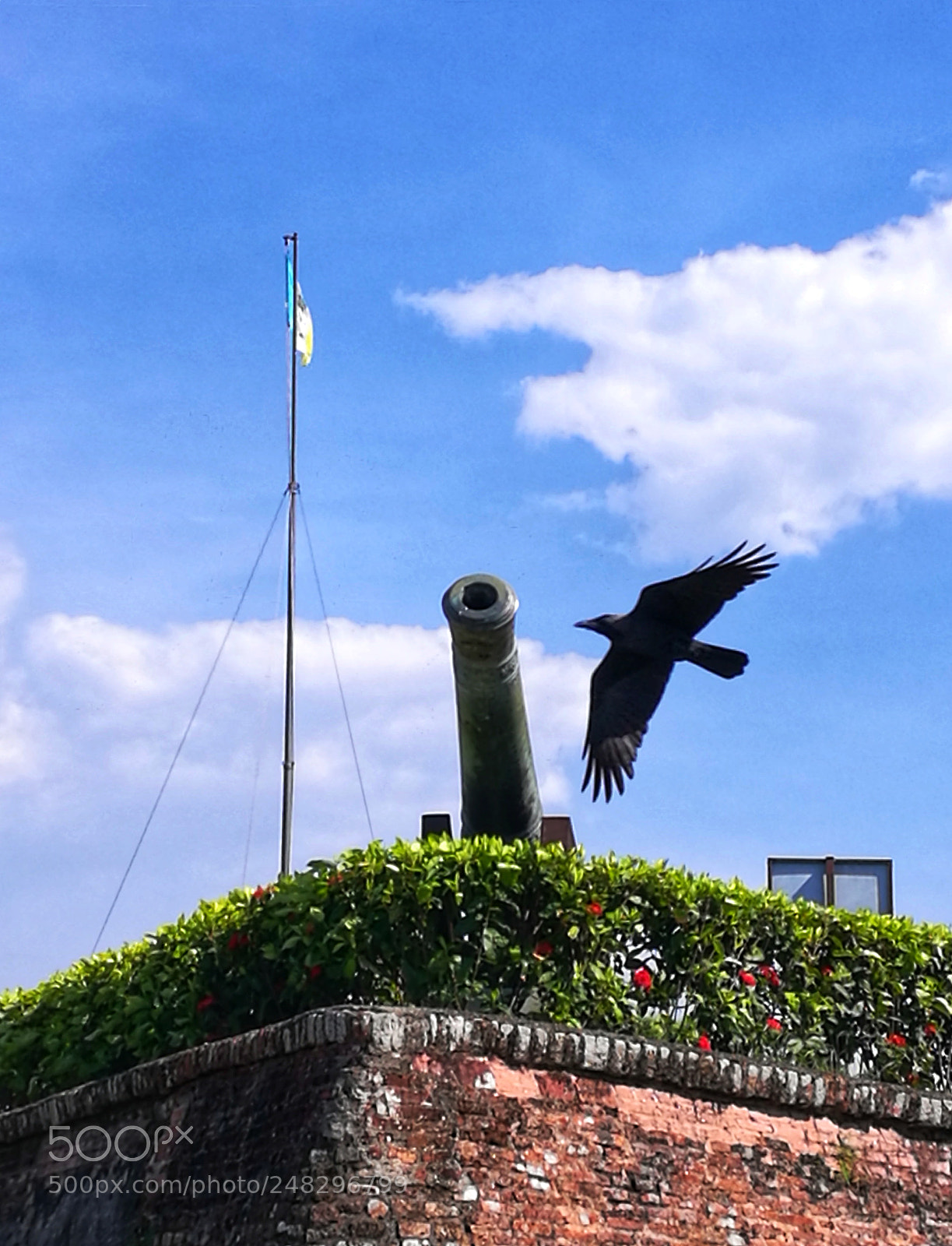 HUAWEI Honor 8 sample photo. Untitled photography