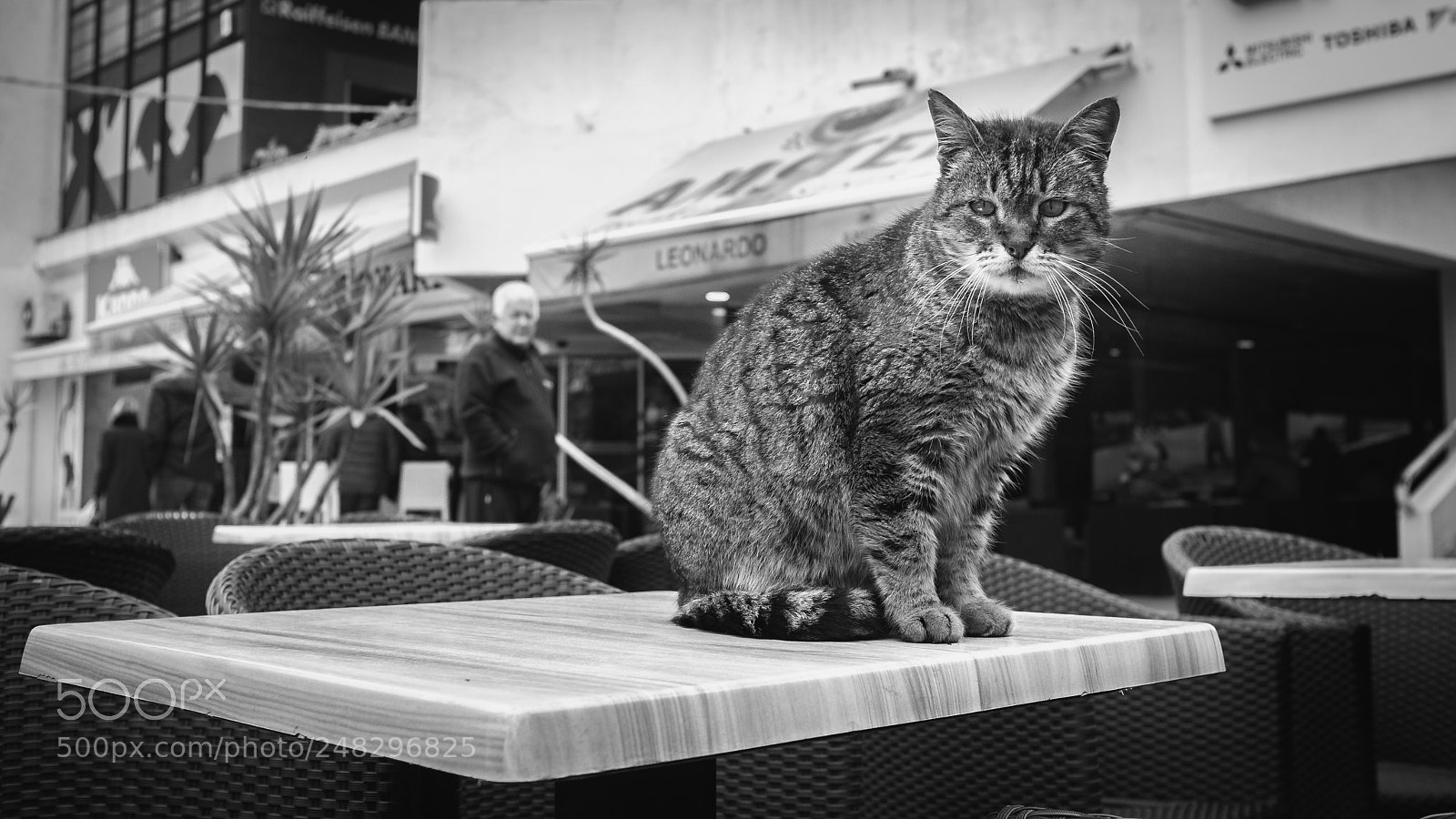 Fujifilm FinePix X100 sample photo. Boss photography
