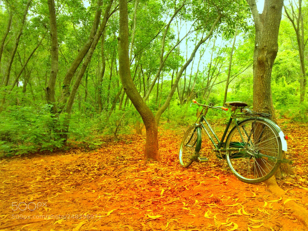 Canon EOS 1300D (EOS Rebel T6 / EOS Kiss X80) sample photo. Into the wilderness!! photography