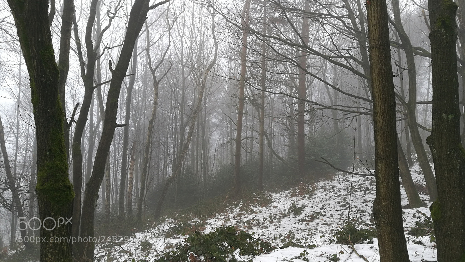 HUAWEI Honor 8 sample photo. Wintry pillars photography