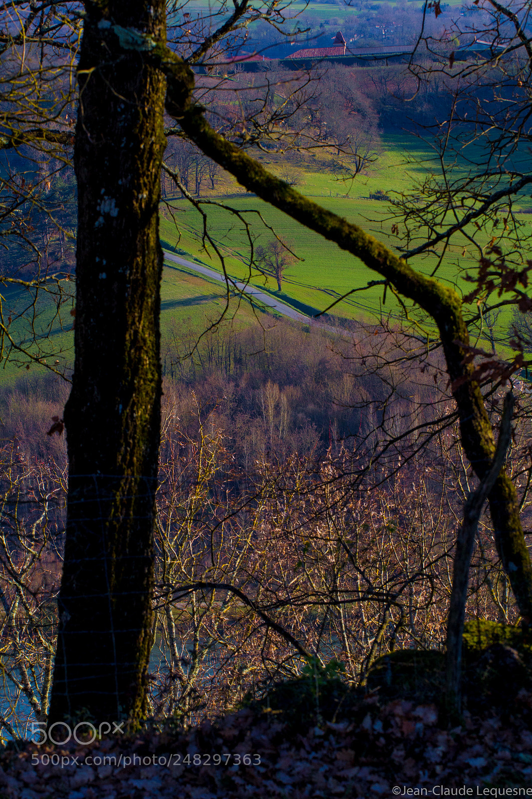Canon EOS 60D sample photo. Autour du lac 29 photography