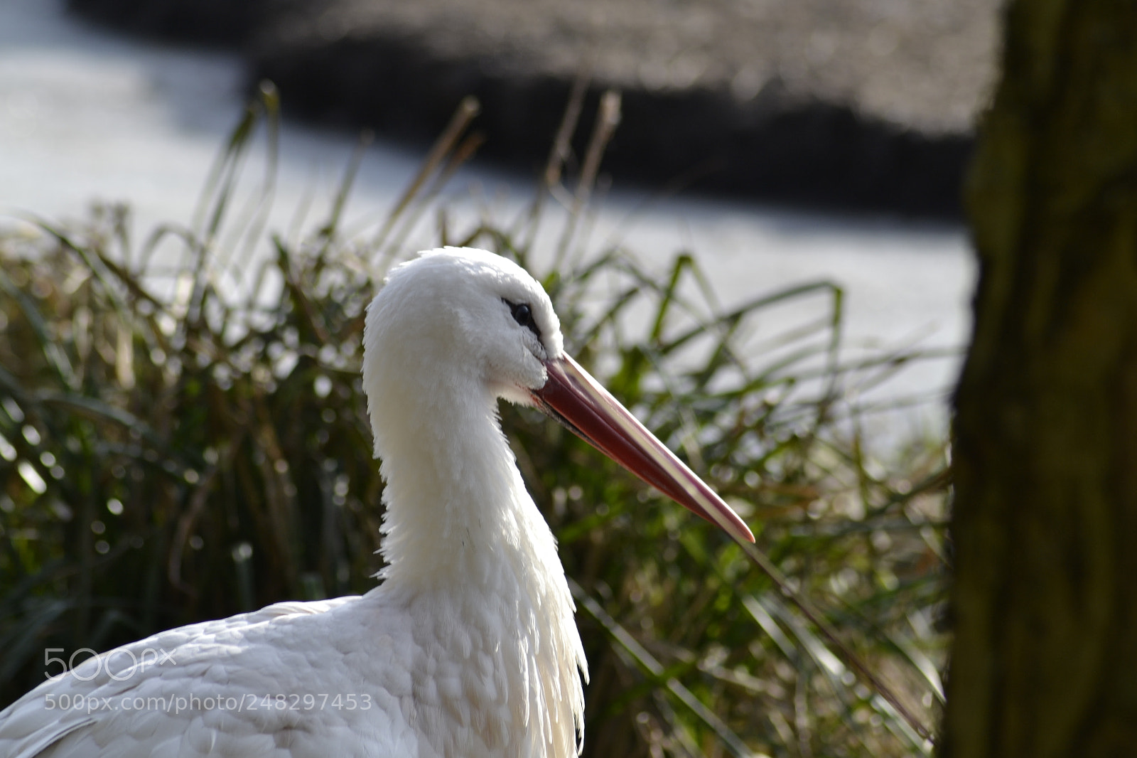 Nikon D3100 sample photo. Untitled photography