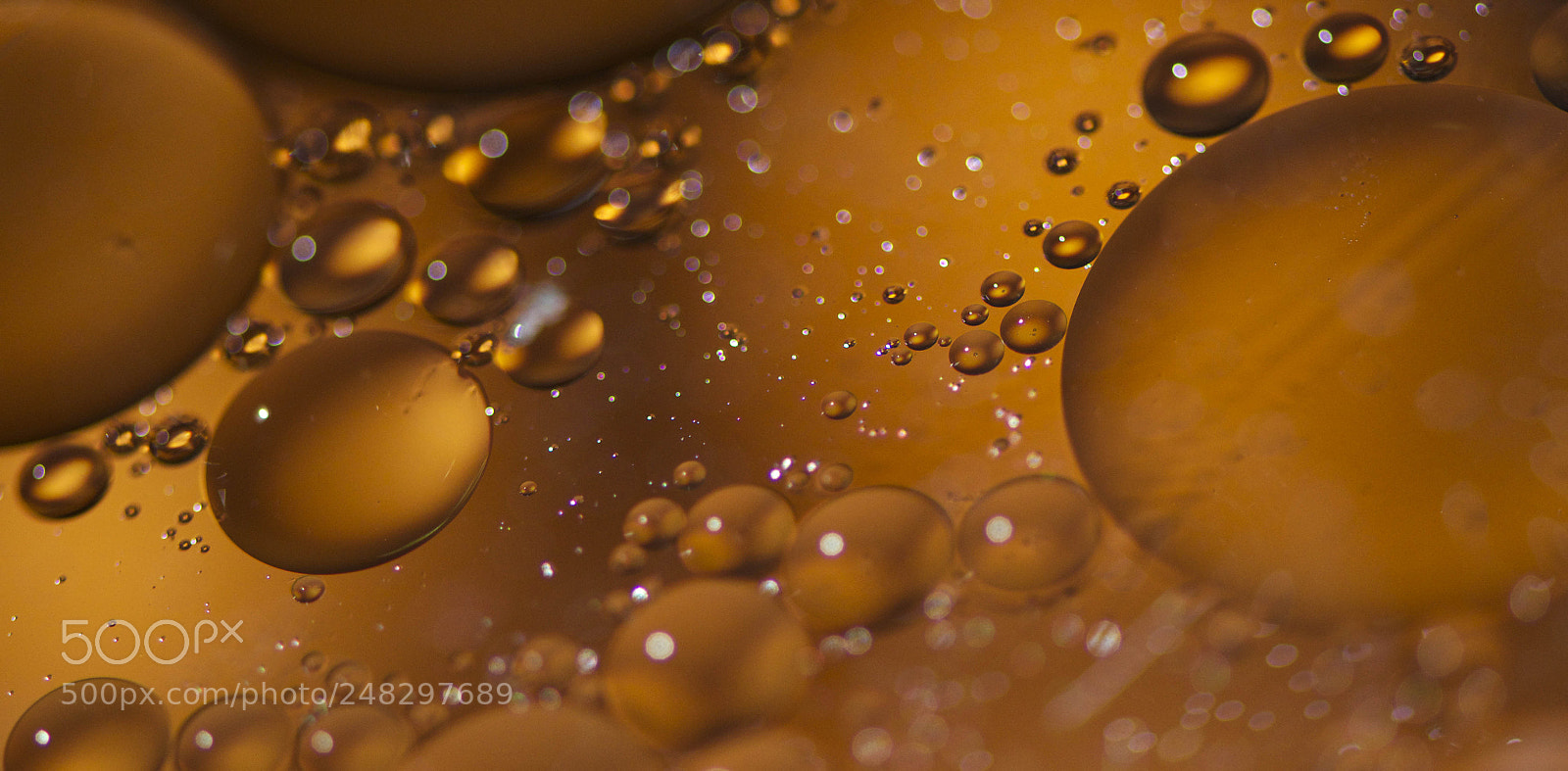Nikon D5100 sample photo. Oil on water photography