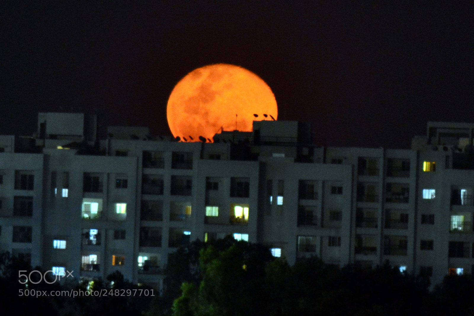 Nikon D3100 sample photo. Moon peeps from behind photography