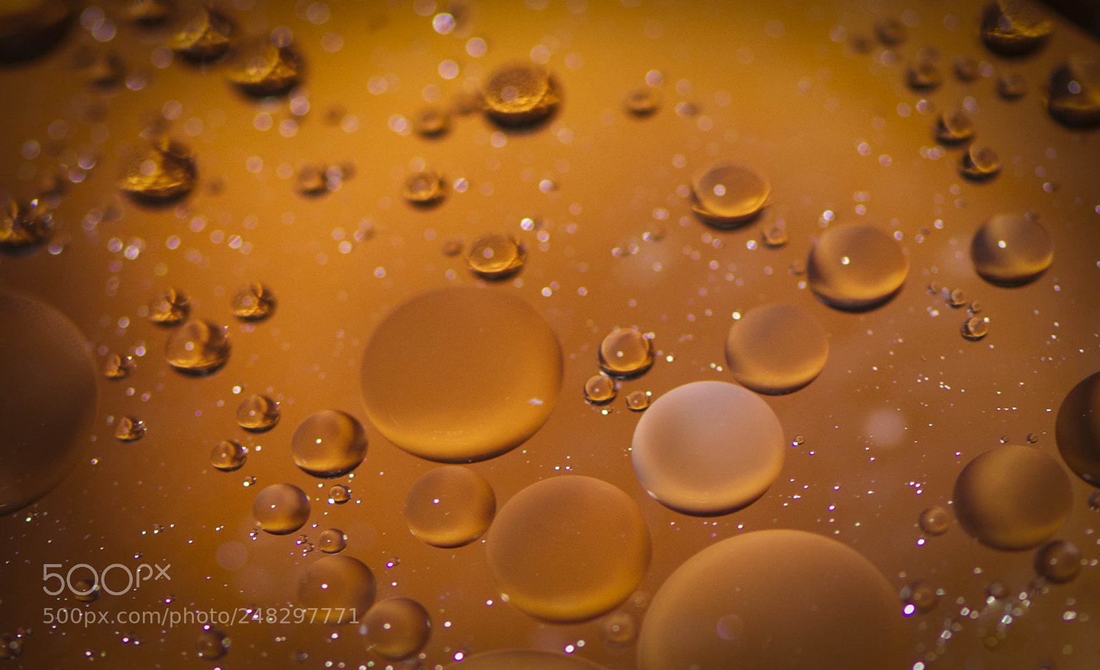 Nikon D5100 sample photo. Oil on water photography