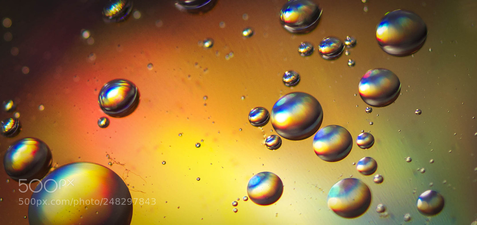 Nikon D5100 sample photo. Oil on water photography