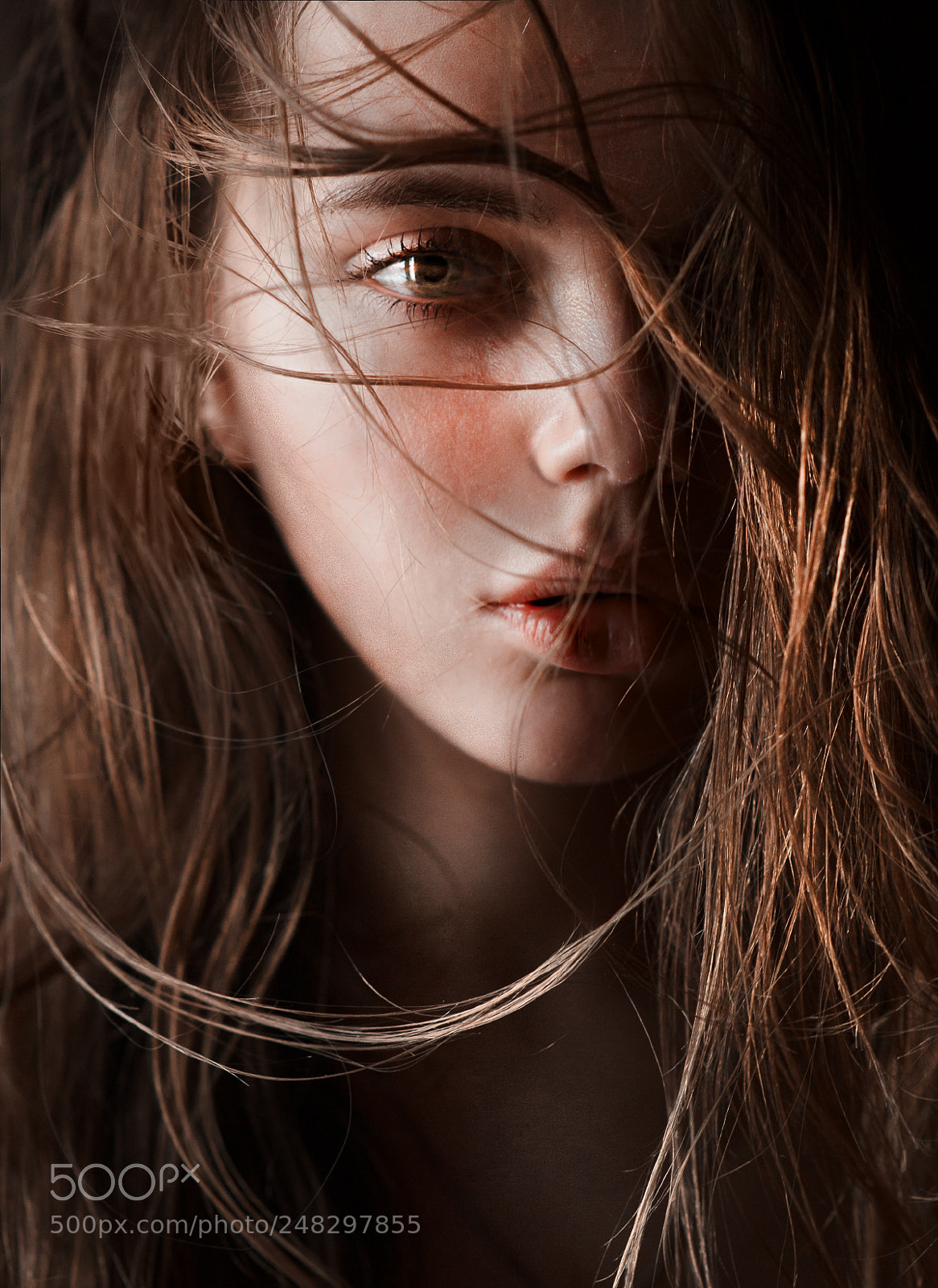 Nikon D700 sample photo. Labyrinth photography
