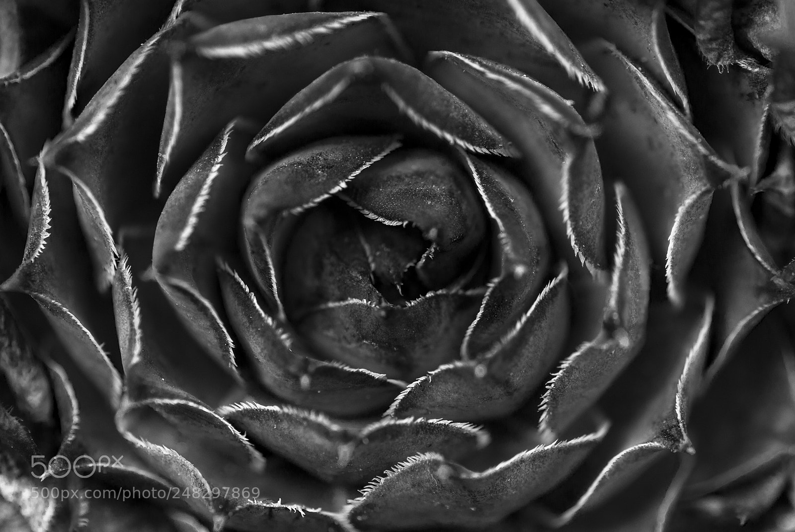 Nikon D3200 sample photo. Symmetry photography