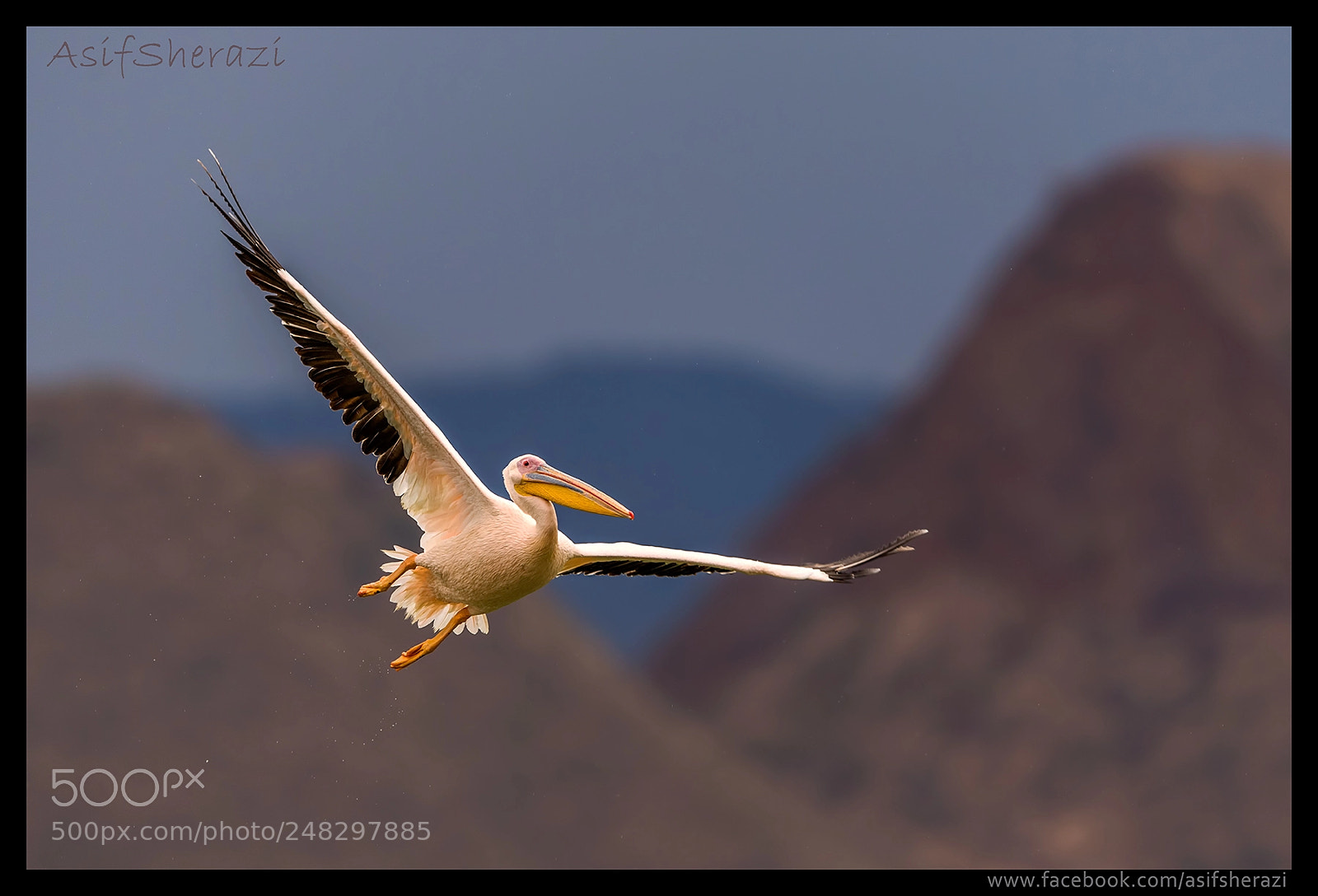 Nikon D5 sample photo. Beauty of the nature photography