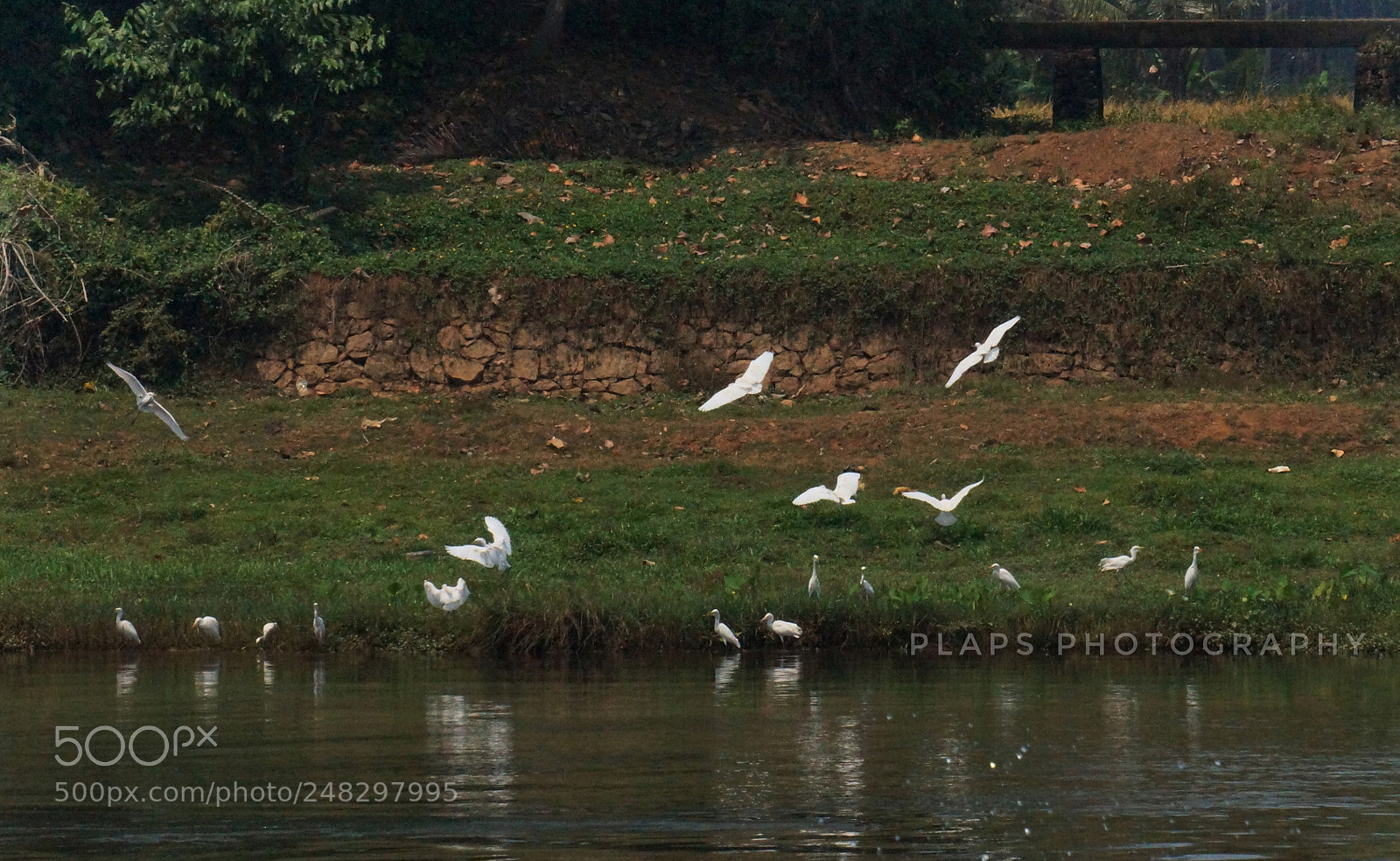 Sony Alpha NEX-F3 sample photo. Untitled photography