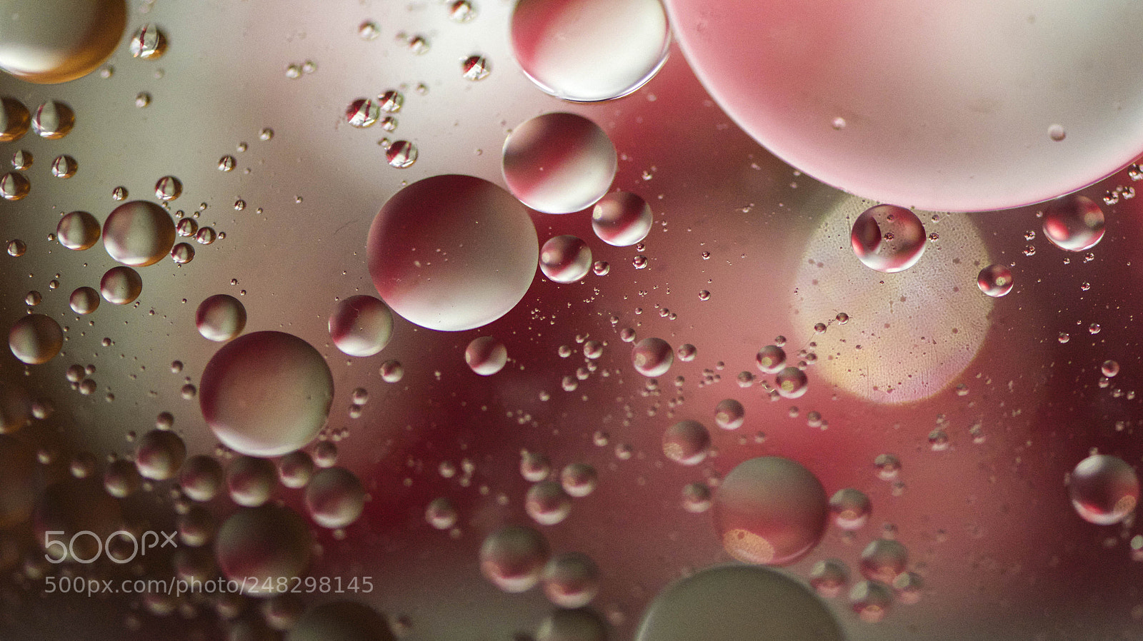 Nikon D5100 sample photo. Oil drops on water photography
