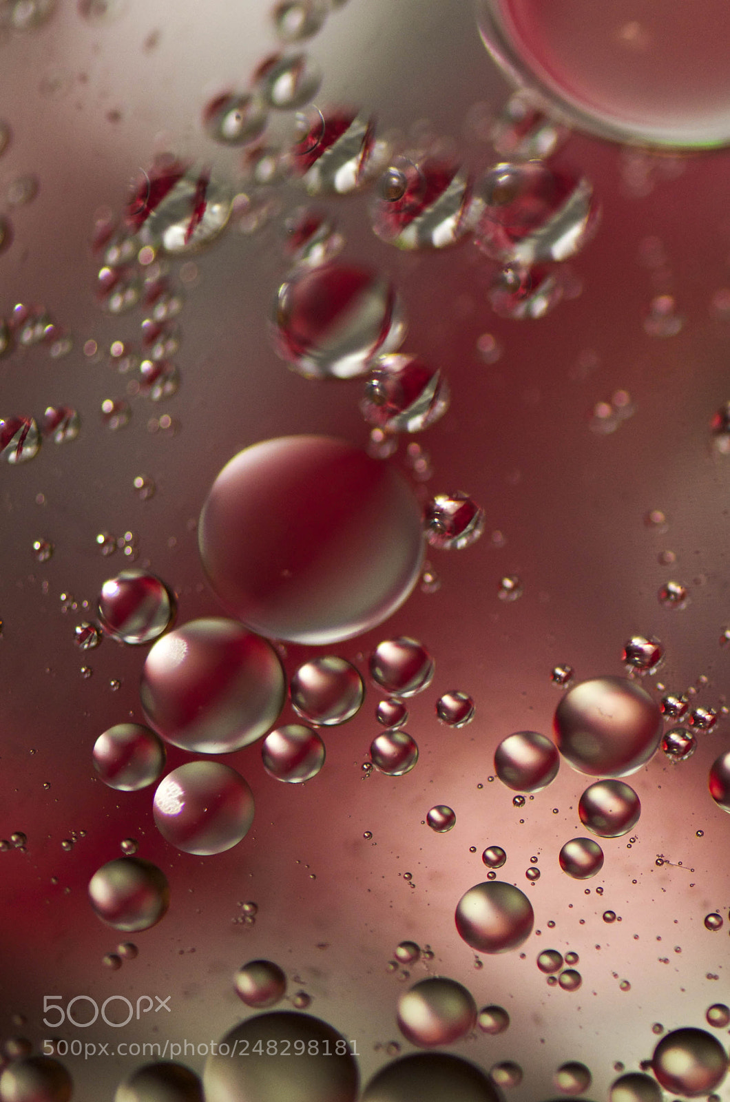 Nikon D5100 sample photo. Oil drops on water photography