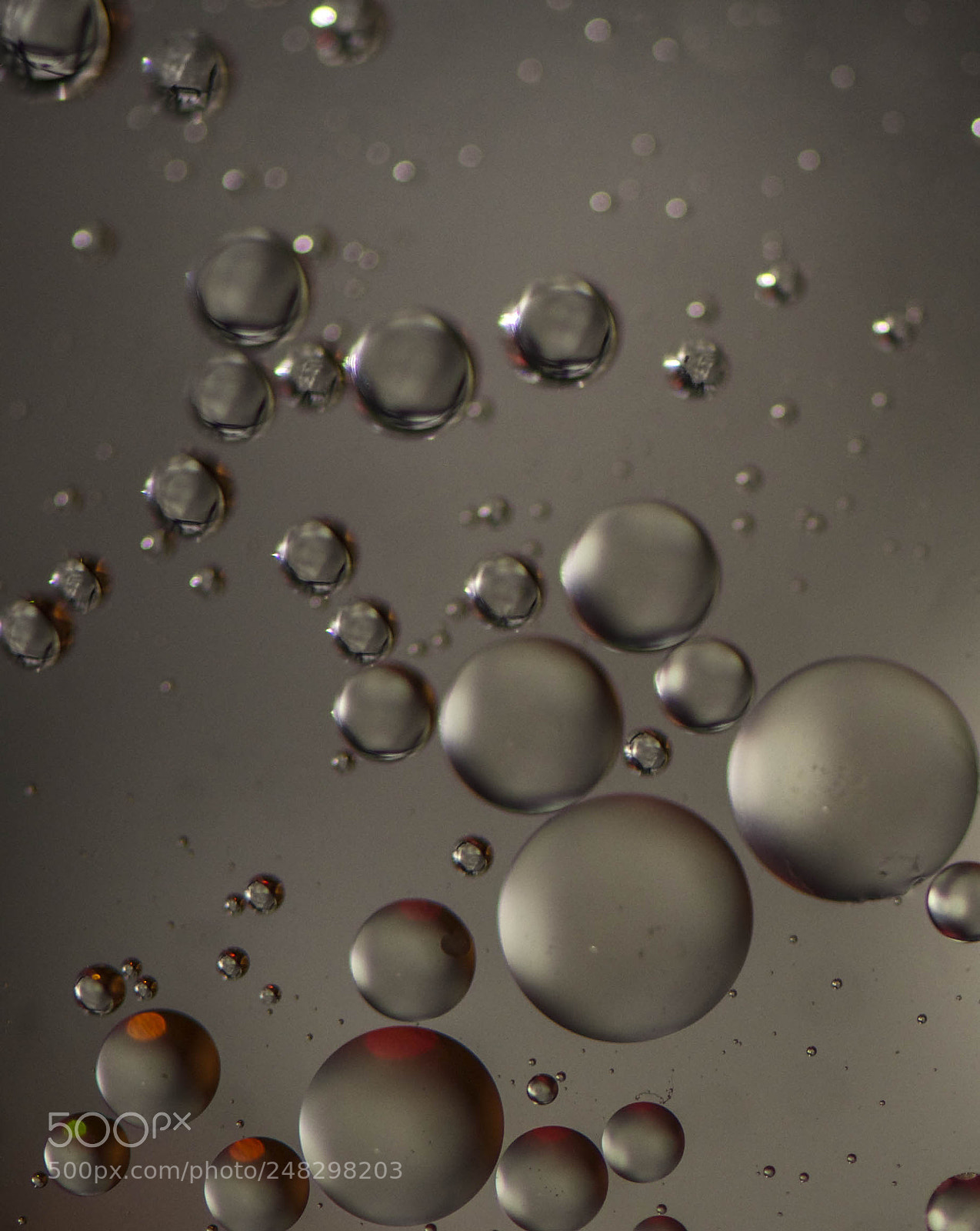 Nikon D5100 sample photo. Oil drops on water photography