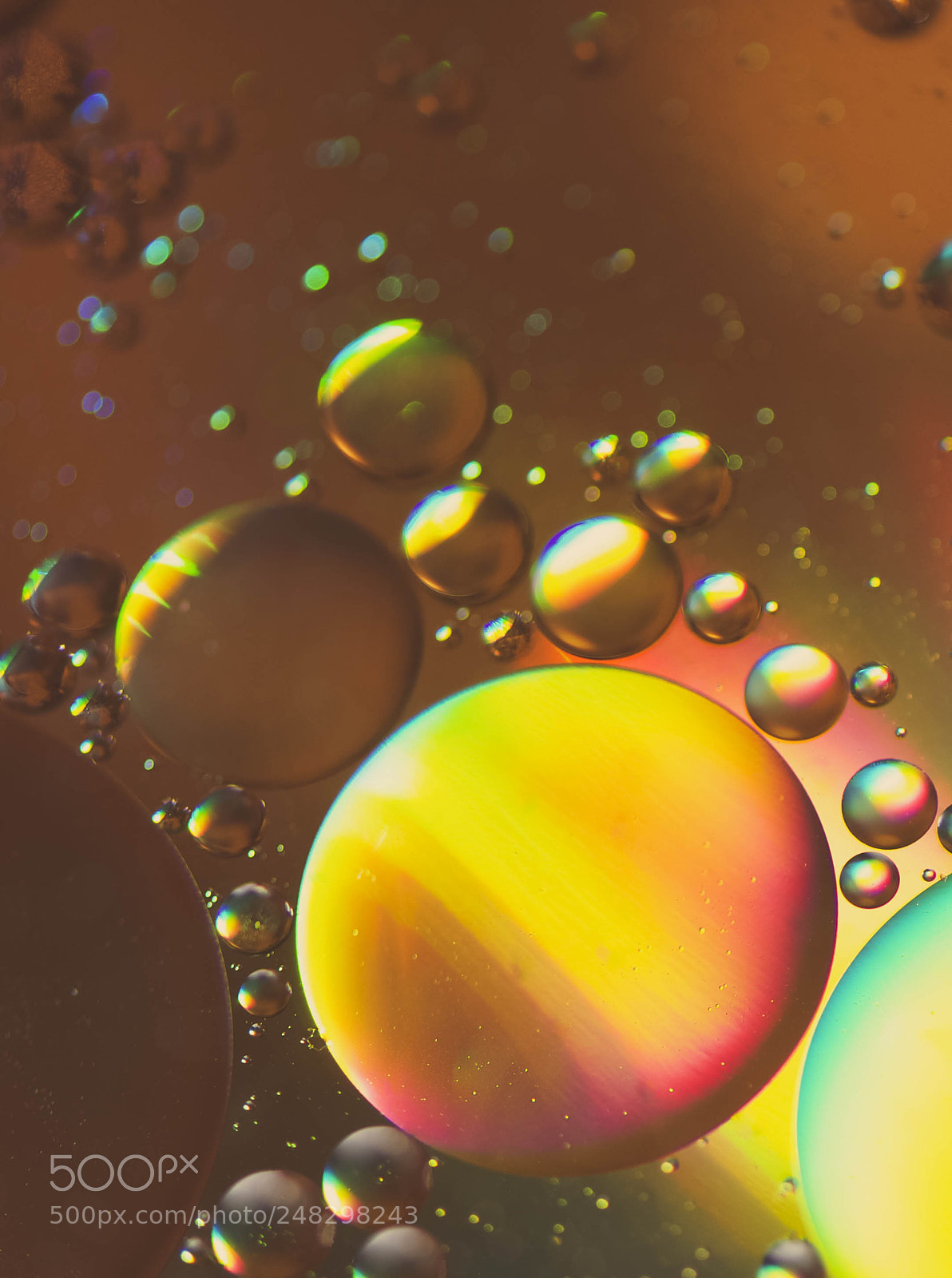 Nikon D5100 sample photo. Oil drops on water photography
