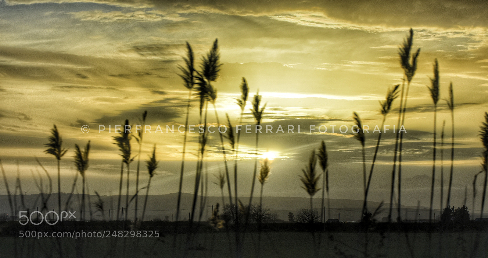 Nikon D7200 sample photo. Tramonto d' oro gold photography