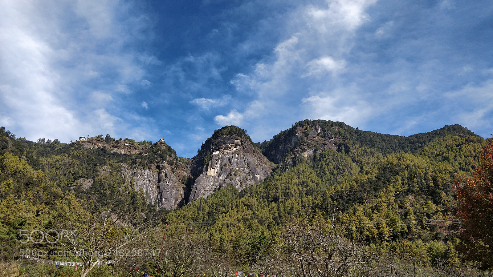 OnePlus 5 sample photo. Yes that is the photography