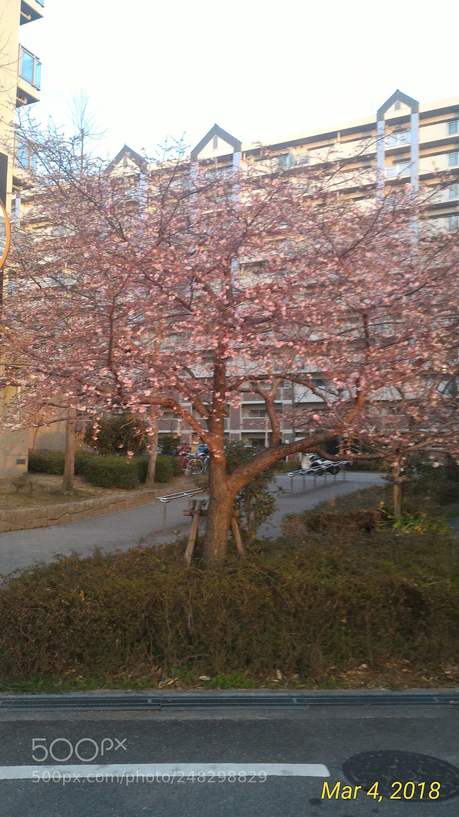 ASUS ZenFone 2 (ZE551ML) sample photo. Untitled photography