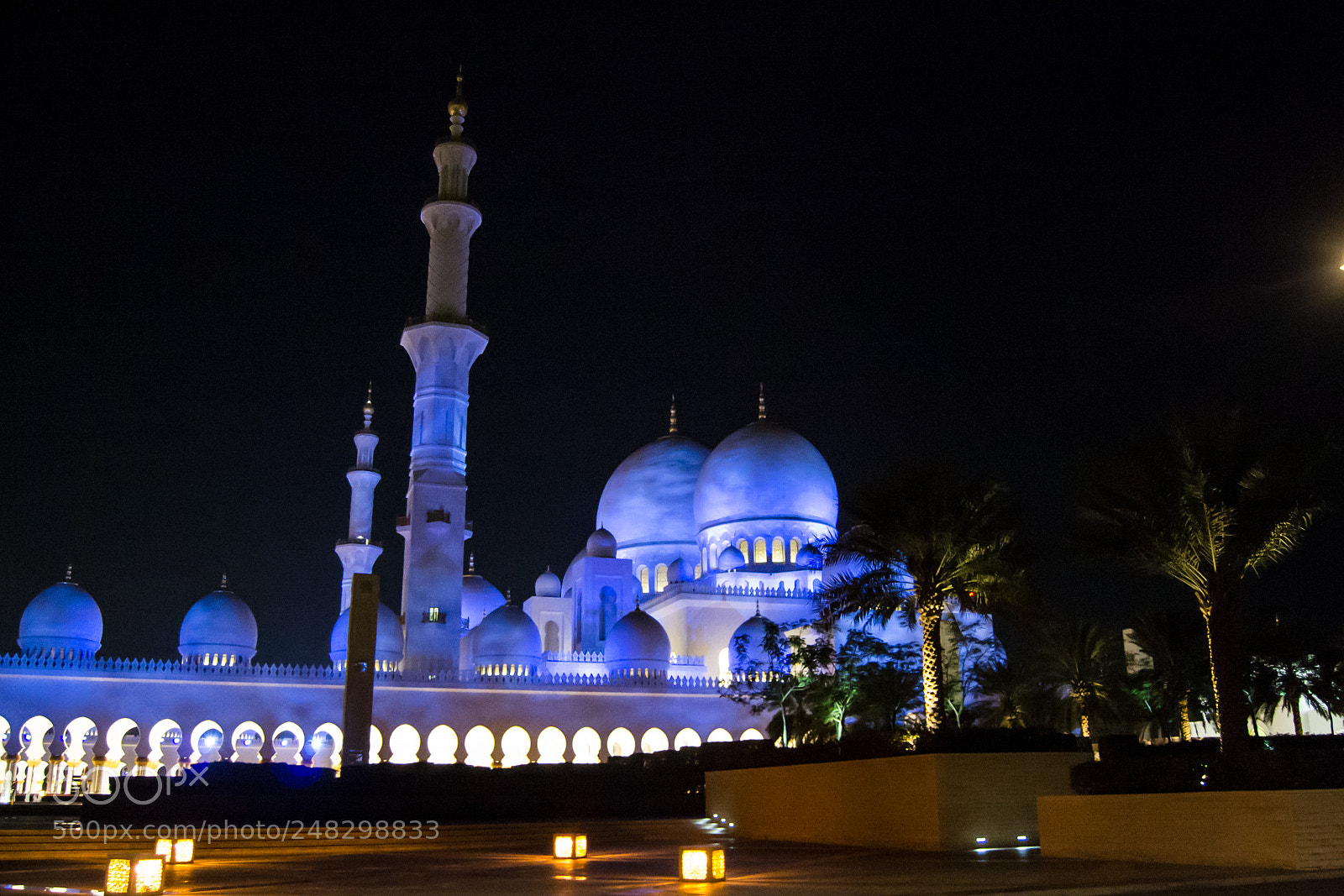 Nikon D3100 sample photo. The palms and mosque photography