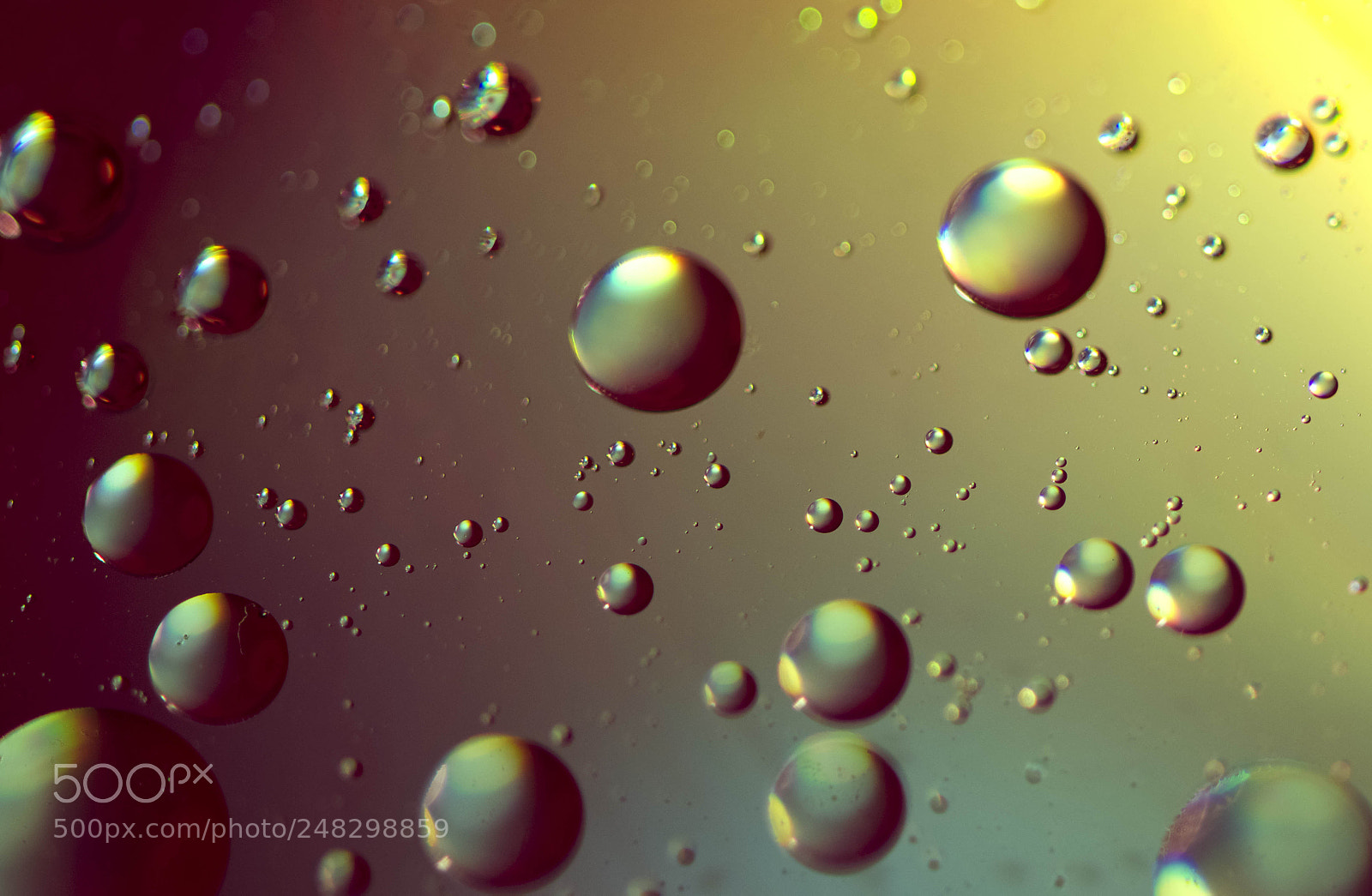 Nikon D5100 sample photo. Oil on water photography