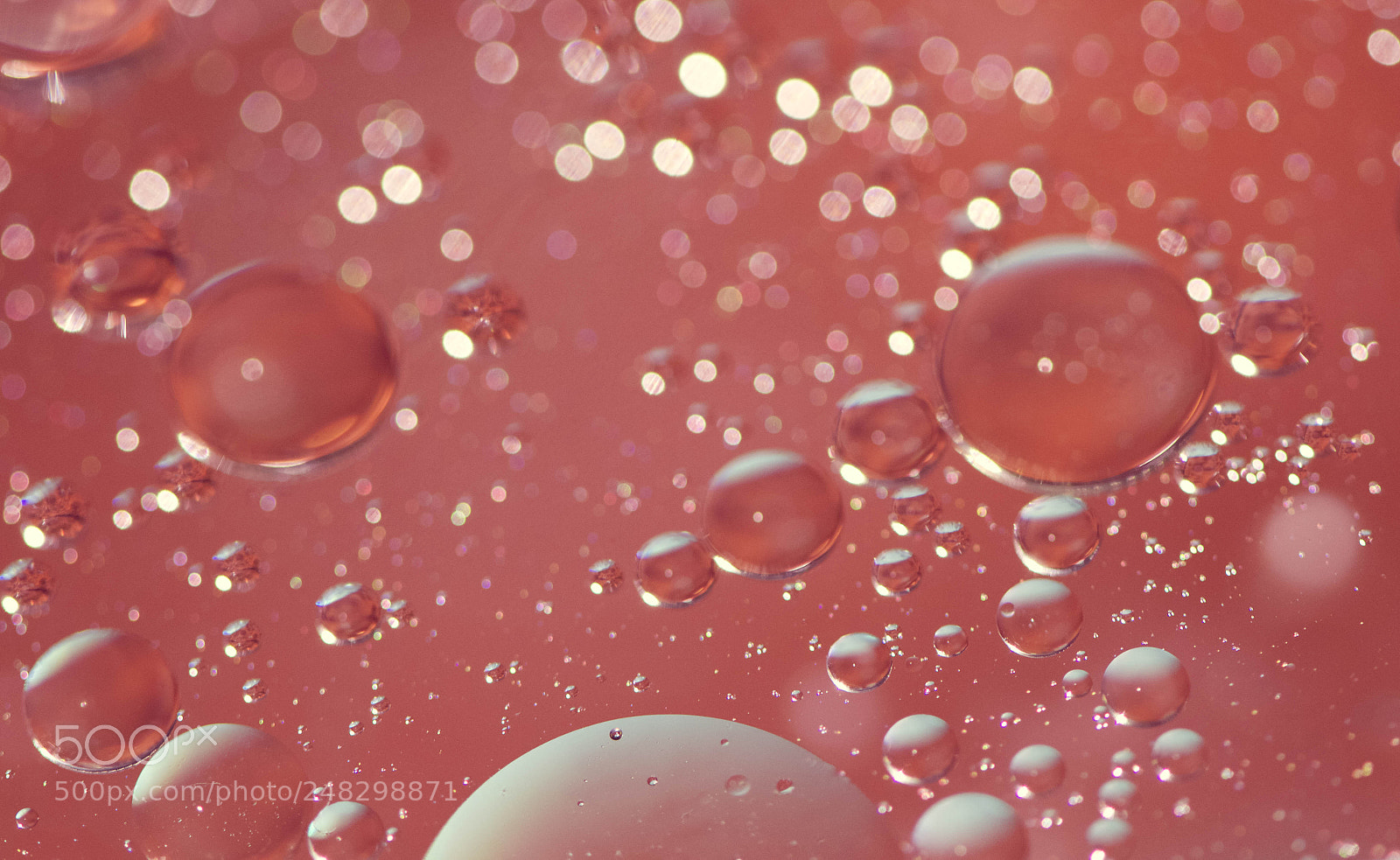 Nikon D5100 sample photo. Oil on water photography