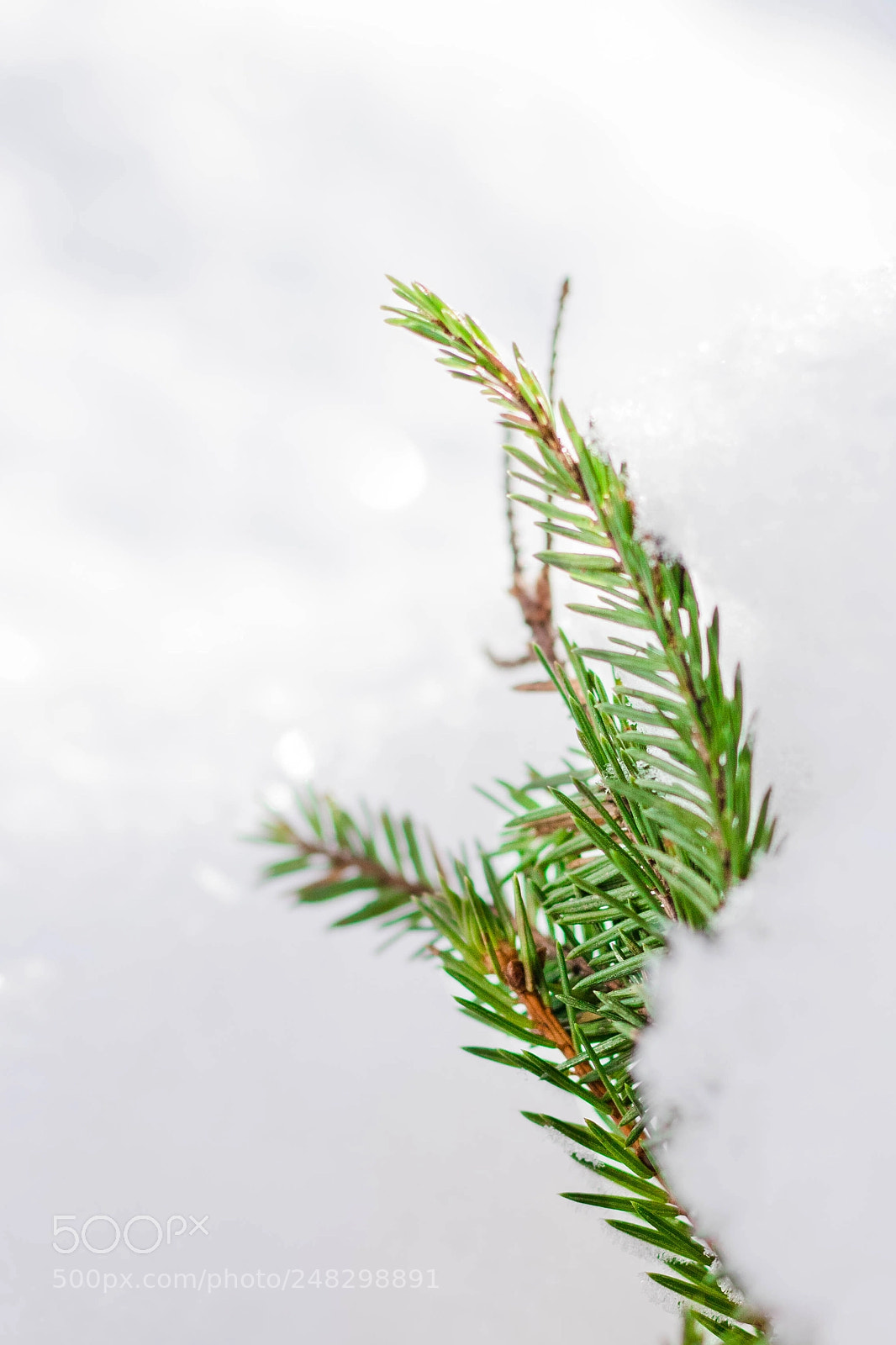 Canon EOS 750D (EOS Rebel T6i / EOS Kiss X8i) sample photo. Winter photography
