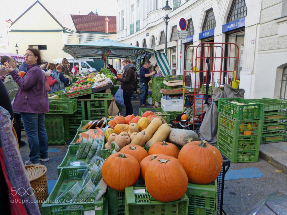 Panasonic Lumix DMC-FZ40 (Lumix DMC-FZ45) sample photo. Snapshot of the market photography