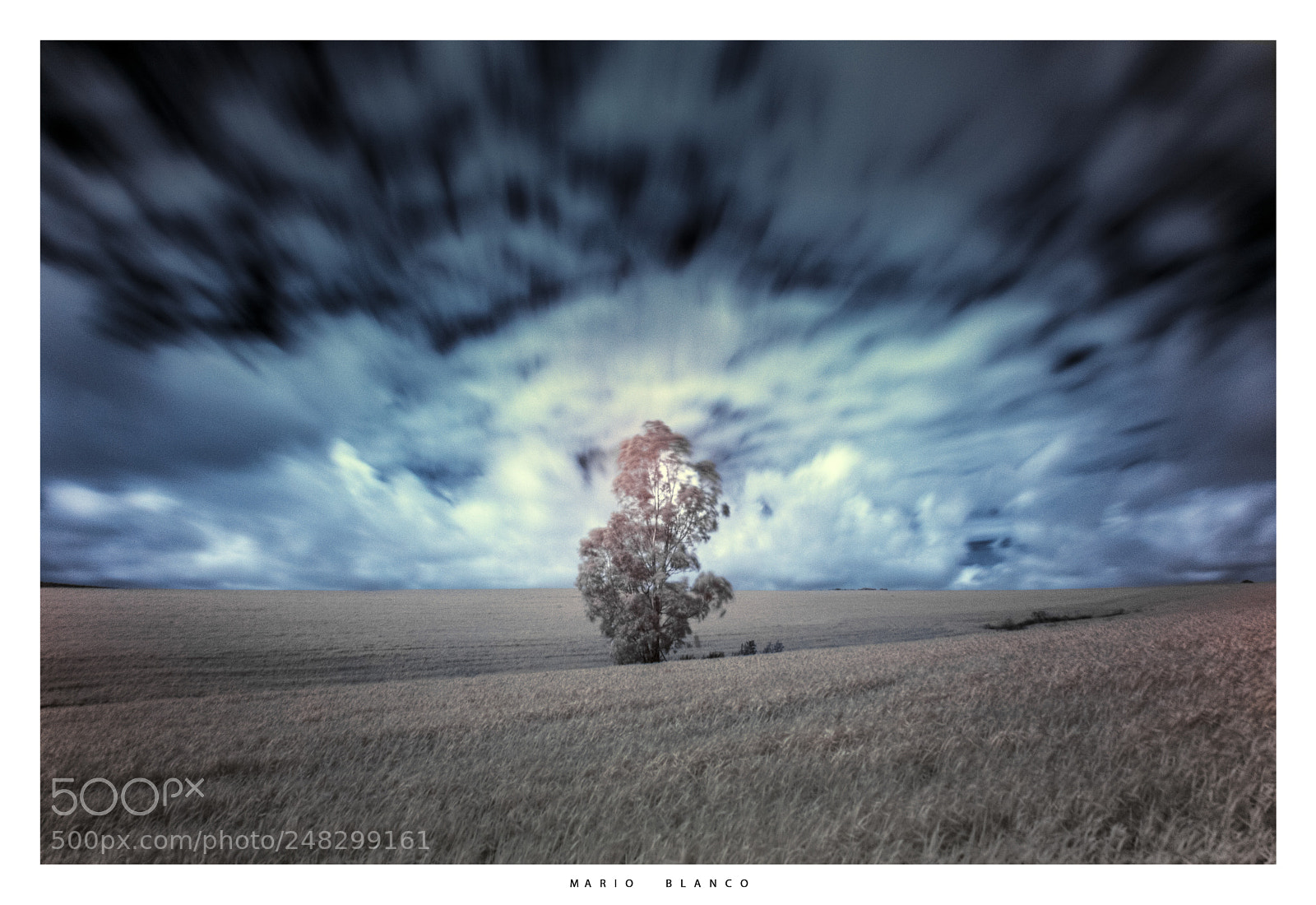 Canon EOS 7D Mark II sample photo. Alone tree photography