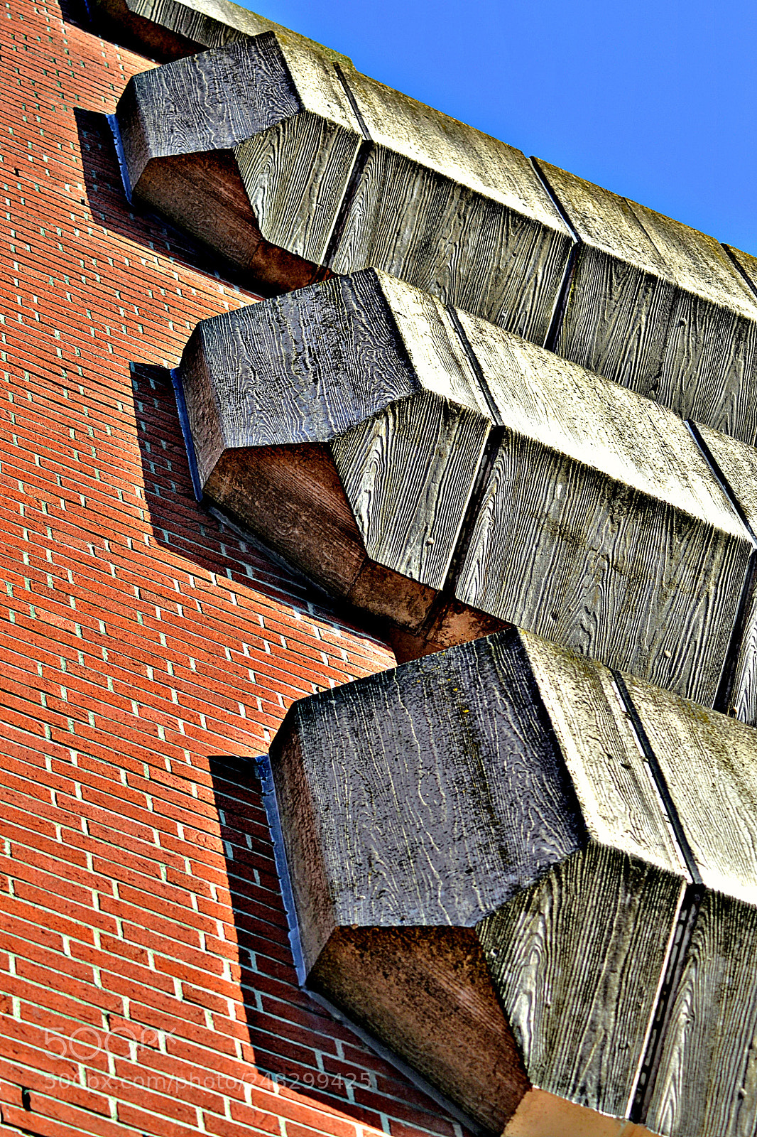 Nikon D3100 sample photo. Untitled photography