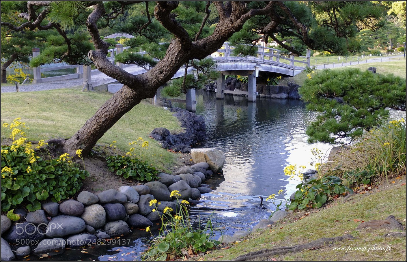 Fujifilm X10 sample photo. Japanese garden photography
