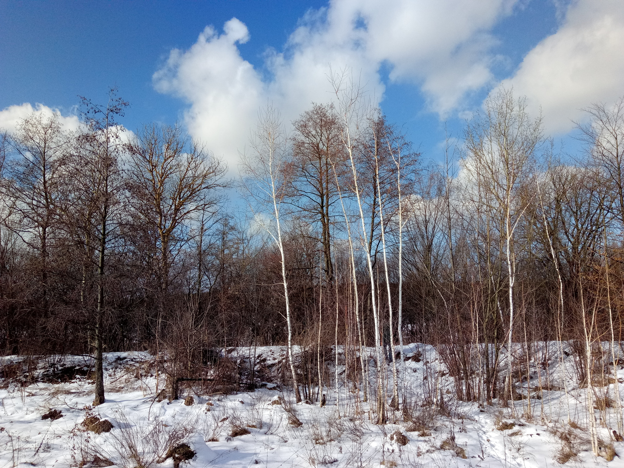 Meizu U20 sample photo