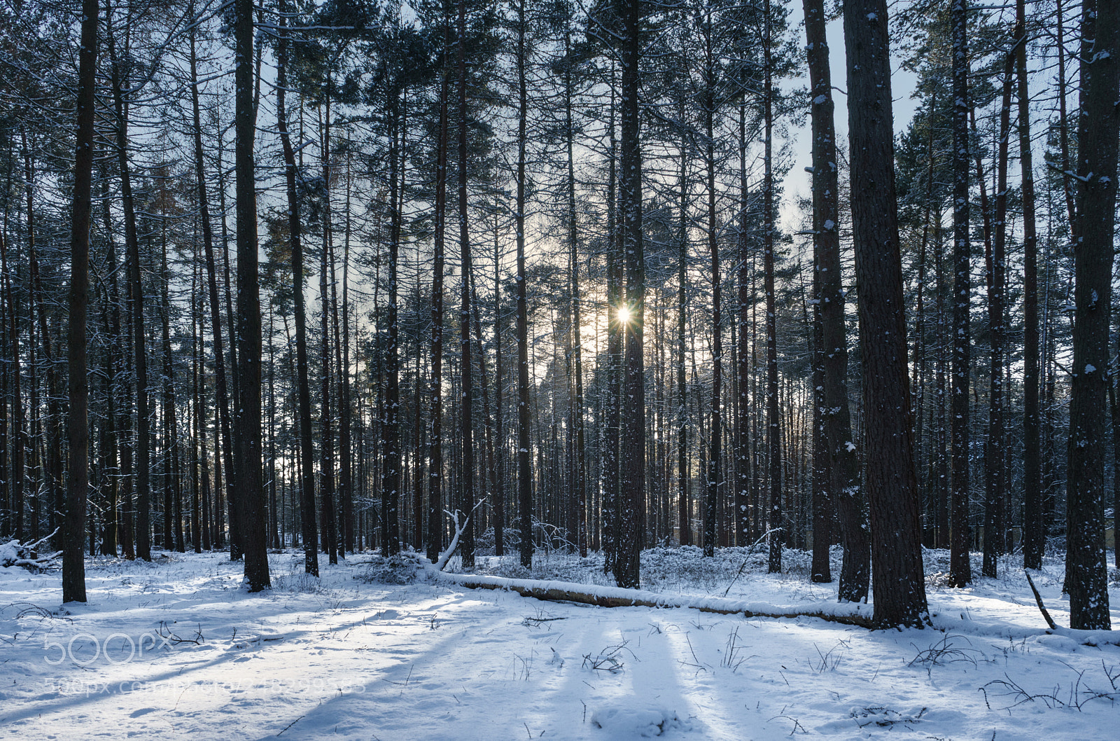 Sony a7 sample photo. Star photography