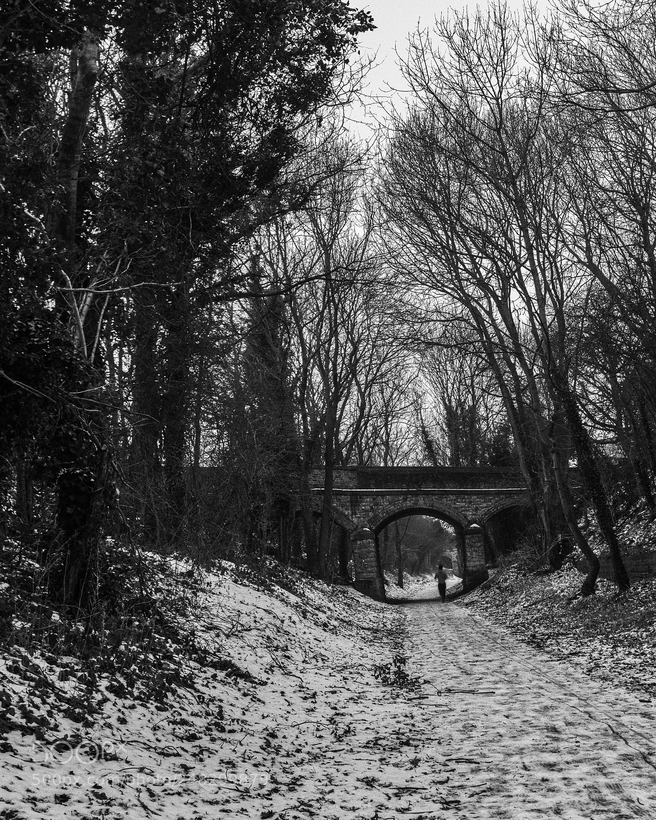 Canon EOS 5D Mark II sample photo. Nutbrook trail in winter photography