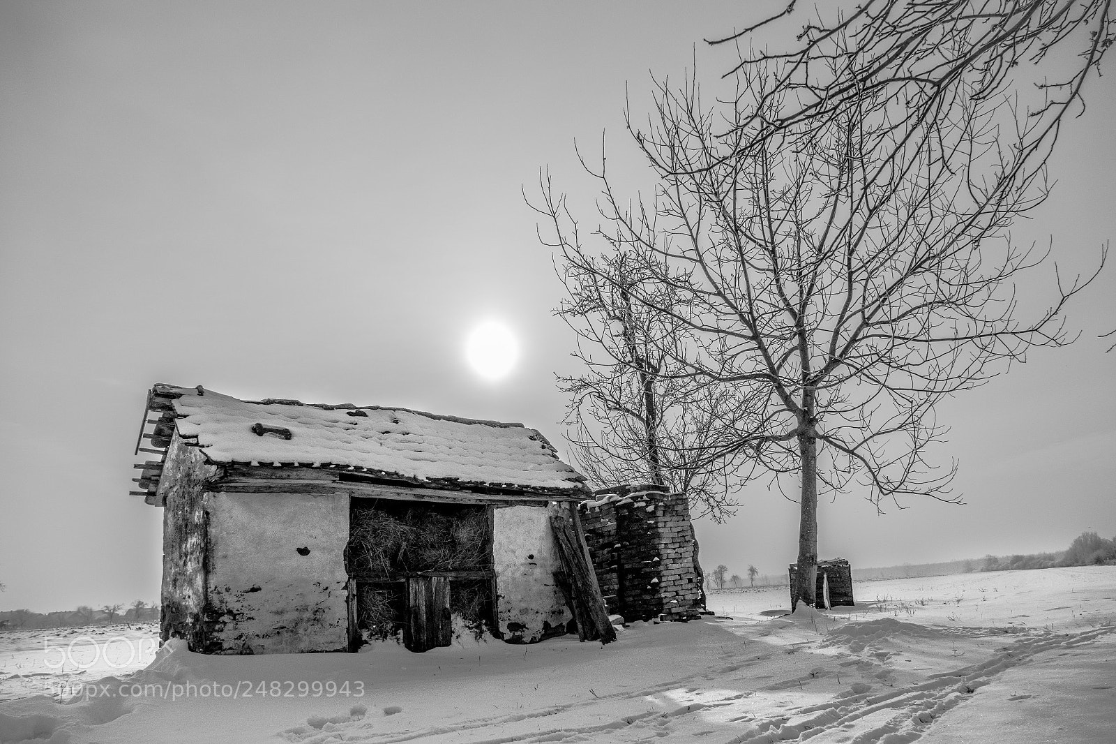 Panasonic Lumix DMC-FZ1000 sample photo. Winter idyll photography