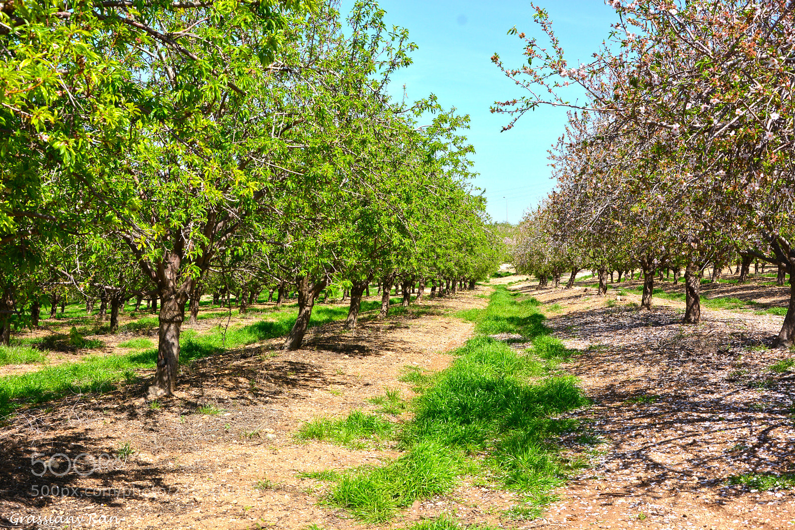 Nikon D7100 sample photo. Nature photography