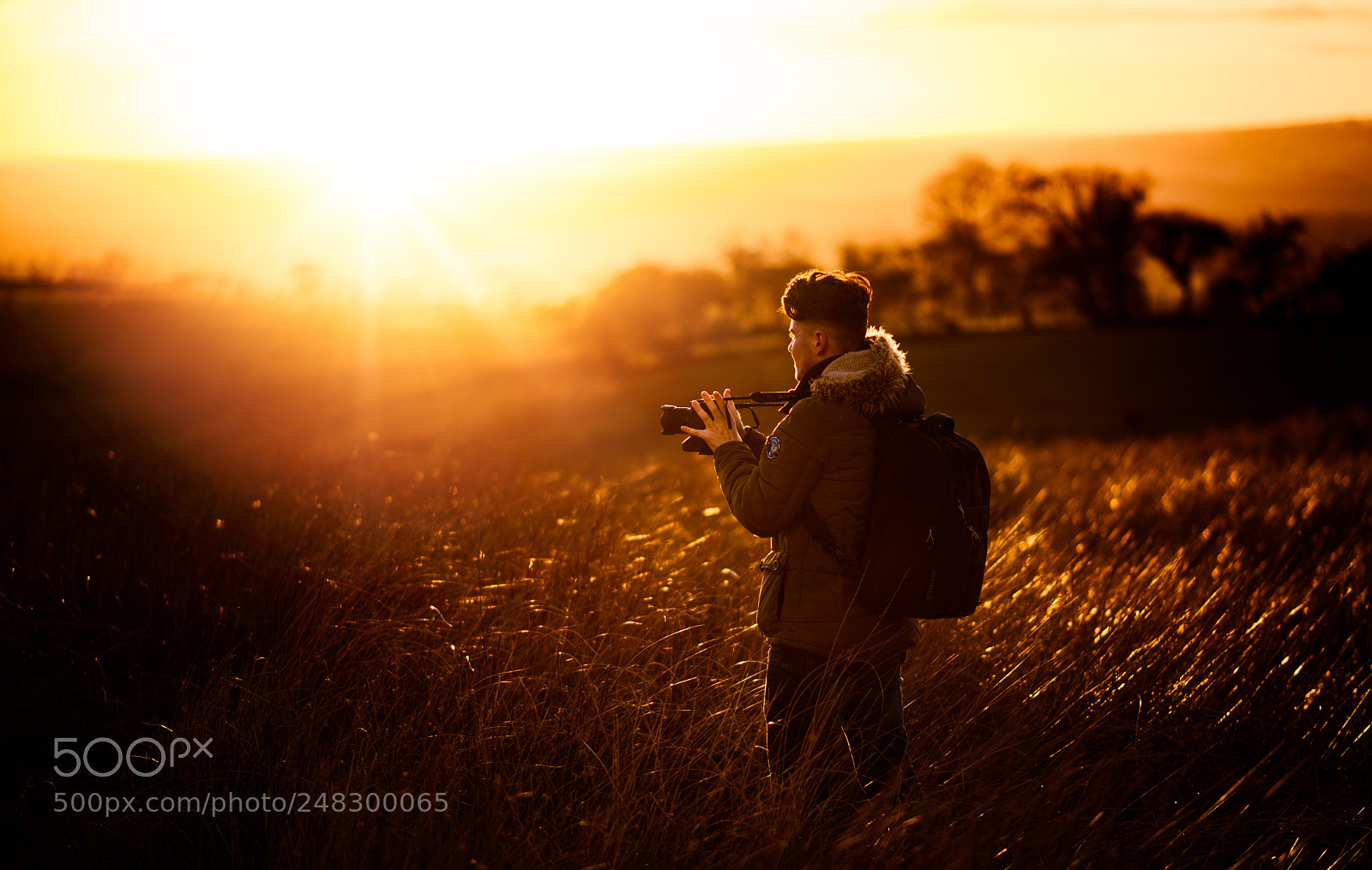 Nikon D610 sample photo. Golden hour photography