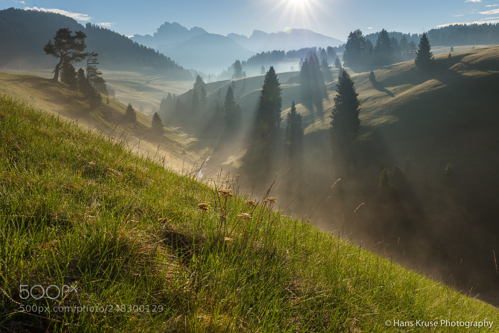 Nikon D810 sample photo. A fresh morning photography